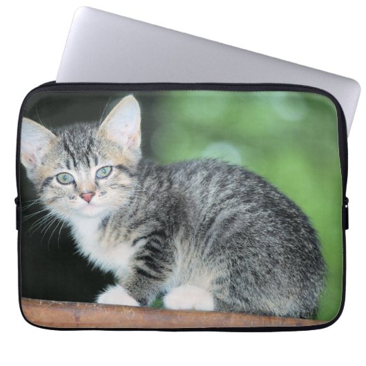 Kitten Laptopschutzhülle (Vorderseite)