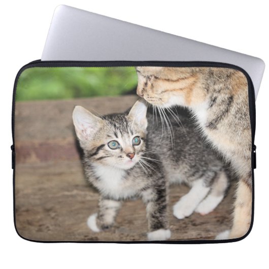 Kitten Laptopschutzhülle (Vorderseite)