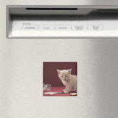 Kitten leckende Milch aus Flasche Magnet (In Situ (Geschirrspüler))