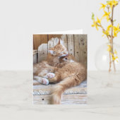 Kitten Liebe Gruß Karte (Gelbe Blume)