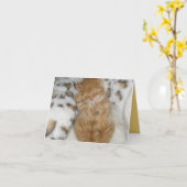 Kitten Liebe Karte (Gelbe Blume)