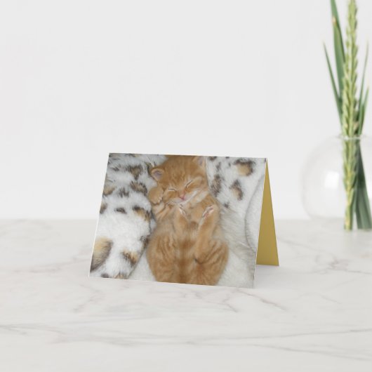 Kitten Liebe Karte (Vorderseite)