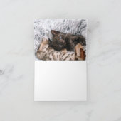 Kitten Liebe Karte (Innenseite)