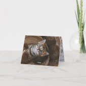 Kitten Liebe Karte (Rückseite)