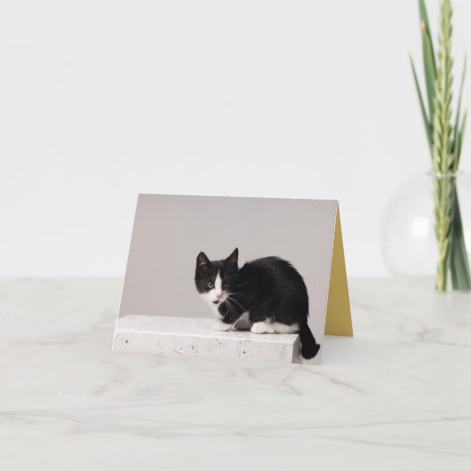 Kitten Liebe Karte (Vorderseite)