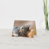 Kitten Liebe Karte (Vorderseite)