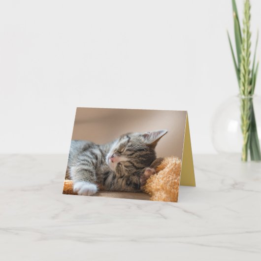 Kitten Liebe Karte (Vorderseite)