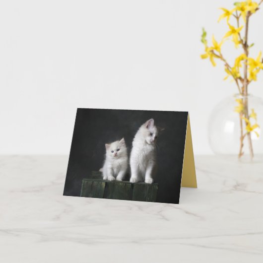 Kitten Liebe Karte (Gelbe Blume)