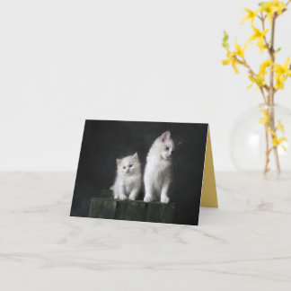 Kitten Liebe Karte