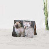 Kitten Liebe Karte (Rückseite)