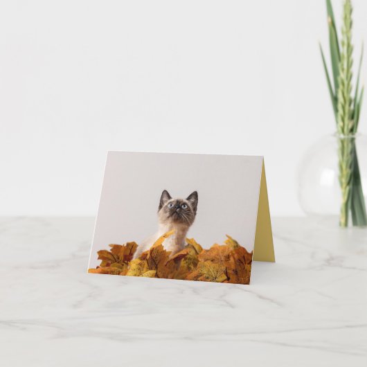 Kitten Liebe Karte (Vorderseite)