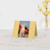 Kitten Liebe Karte (Gelbe Blume)