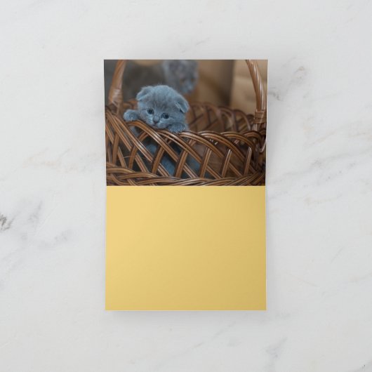 Kitten Liebe Karte (Innenseite)