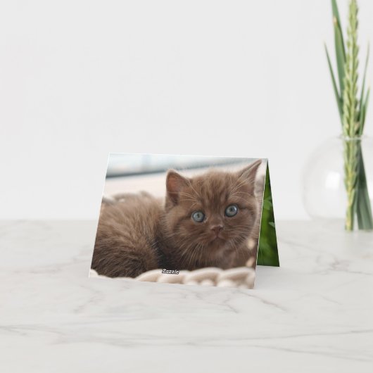 Kitten Liebe Karte (Rückseite)