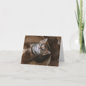 Kitten Liebe Karte (Vorderseite)