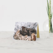 Kitten Liebe Karte (Vorderseite)