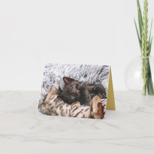 Kitten Liebe Karte (Vorderseite)
