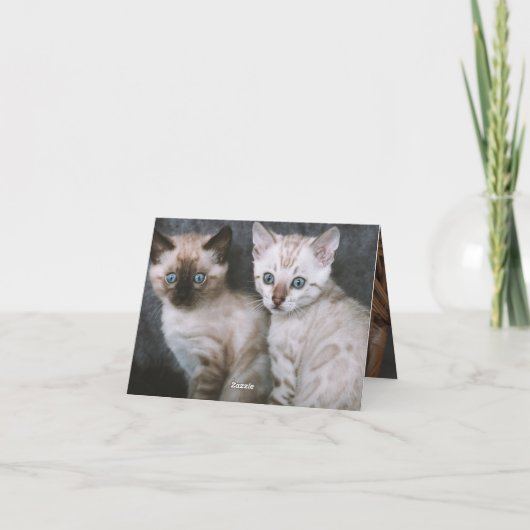 Kitten Liebe Karte (Rückseite)