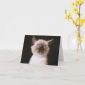 Kitten Liebe Karte (Gelbe Blume)