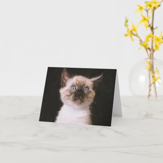 Kitten Liebe Karte (Gelbe Blume)