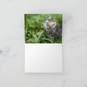 Kitten Liebe Karte (Innenseite)