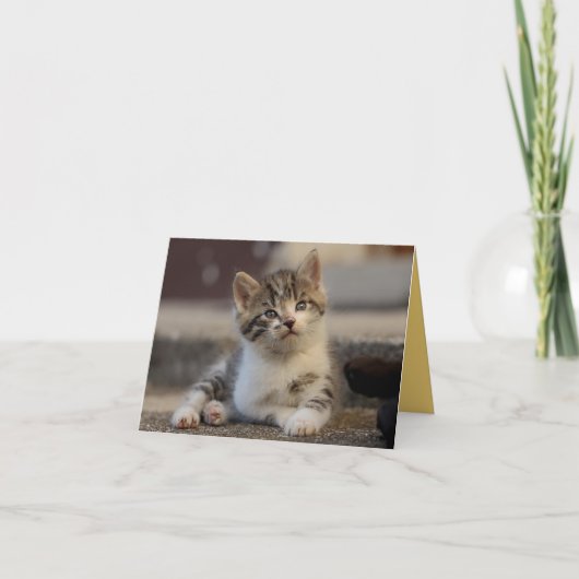 Kitten Liebe Karte (Vorderseite)