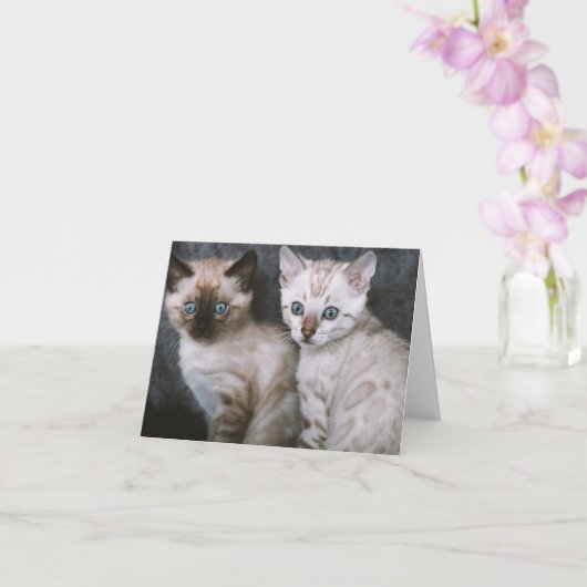 Kitten Liebe Karte (Orchidee)