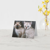 Kitten Liebe Karte (Gelbe Blume)