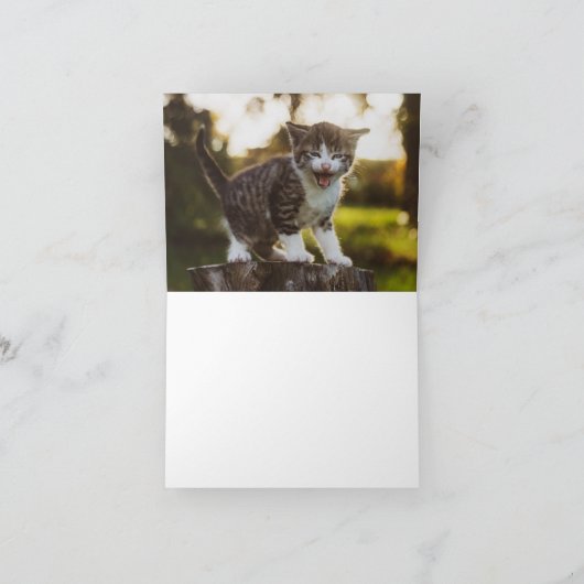 Kitten Liebe Karte (Innenseite)