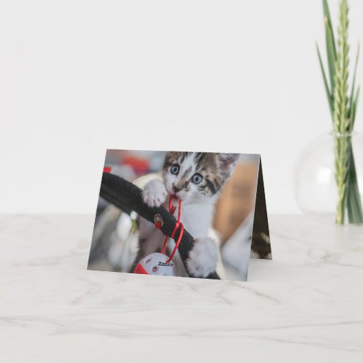 Kitten Liebe Karte (Rückseite)