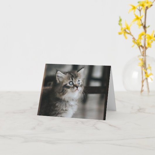 Kitten Liebe Karte (Gelbe Blume)