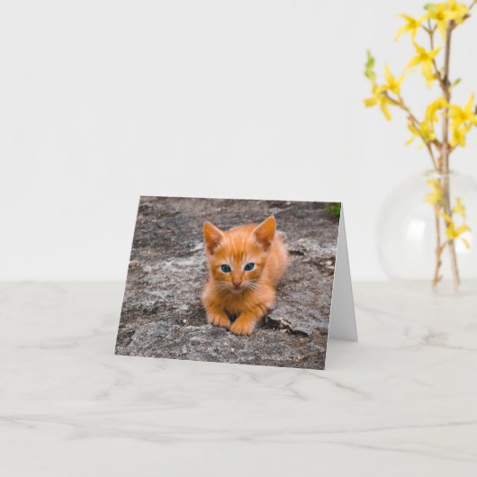 Kitten Liebe Karte (Gelbe Blume)