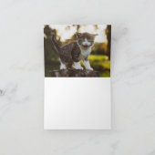 Kitten Liebe Karte (Innenseite)