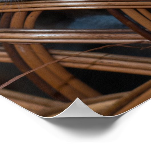 Kitten Liebe Poster (Ecke)