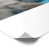 Kitten Liebe Poster (Ecke)