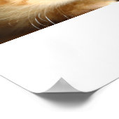 Kitten Liebe Poster (Ecke)