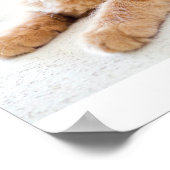 Kitten Liebe Poster (Ecke)