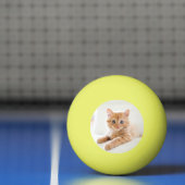 Kitten Liebe Tischtennisball (Netto)