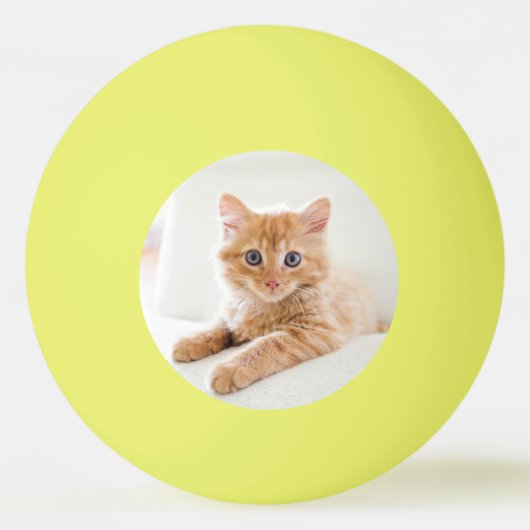 Kitten Liebe Tischtennisball (Vorderseite)