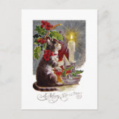 Kitten macht eine Kerze aus Postkarte (Vorderseite)