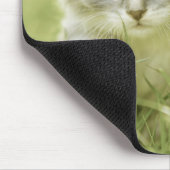 Kitten macht Schritte im Gras Mousepad (Ecke)
