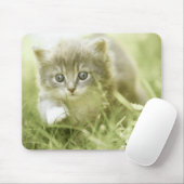 Kitten macht Schritte im Gras Mousepad (Mit Mouse)