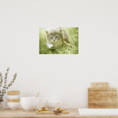 Kitten macht Schritte im Gras Poster (Küche)