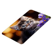 Kitten Magnet (Linke Seite)