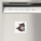 Kitten Magnet (In Situ (Geschirrspüler))