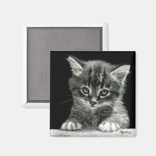 Kitten Magnet - "Bright Future" (Vorderseite/Rückseite)