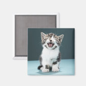 Kitten Mäsion Magnet (Vorderseite/Rückseite)