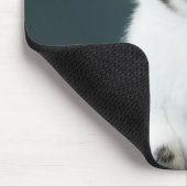 Kitten Mäsion Mousepad (Ecke)