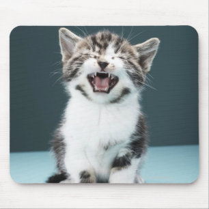 Kitten Mäsion Mousepad