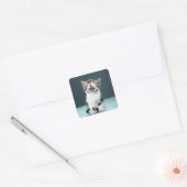 Kitten Mäsion Quadratischer Aufkleber (Umschlag)